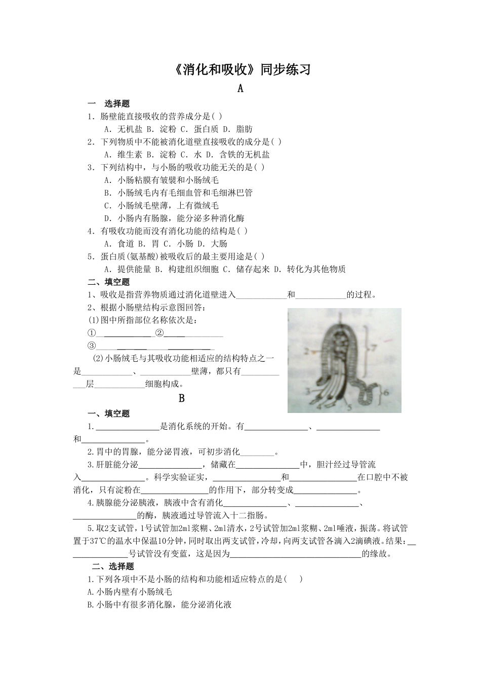 《合理营养与食品安全》4.doc_第1页