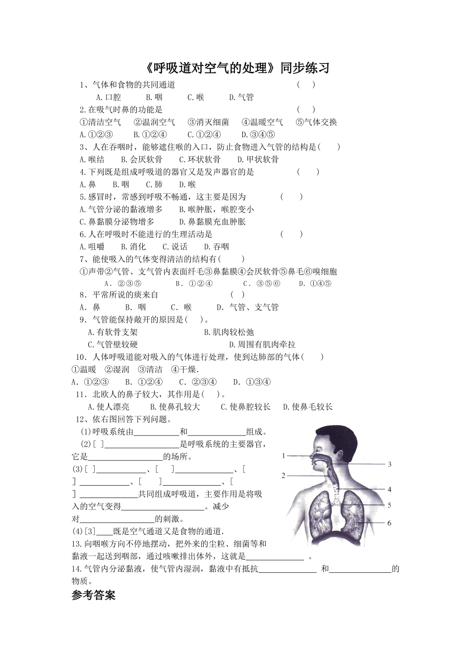 《呼吸道对空气的处理》1.doc_第1页