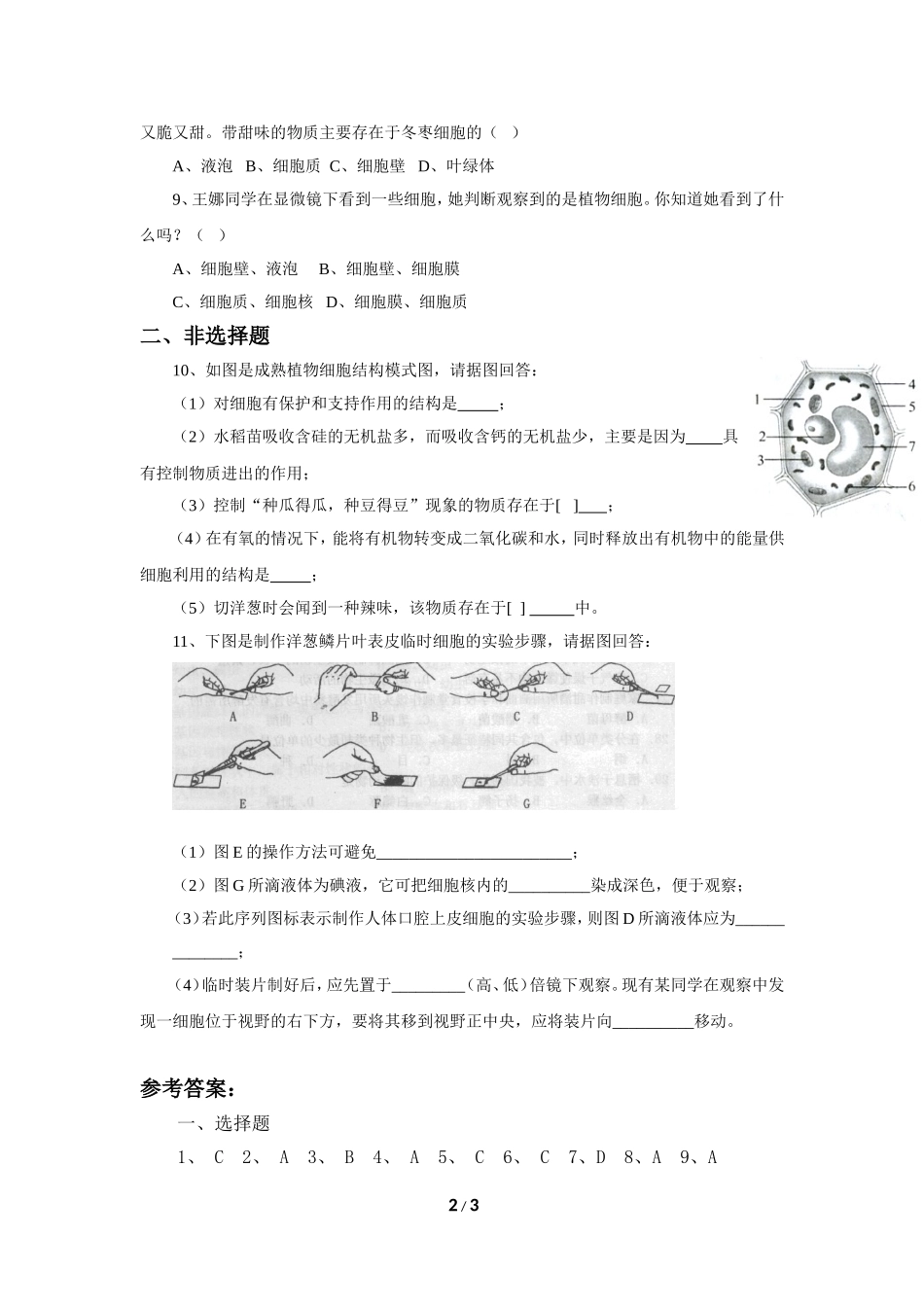 《植物细胞》习题1 含答案.doc_第2页