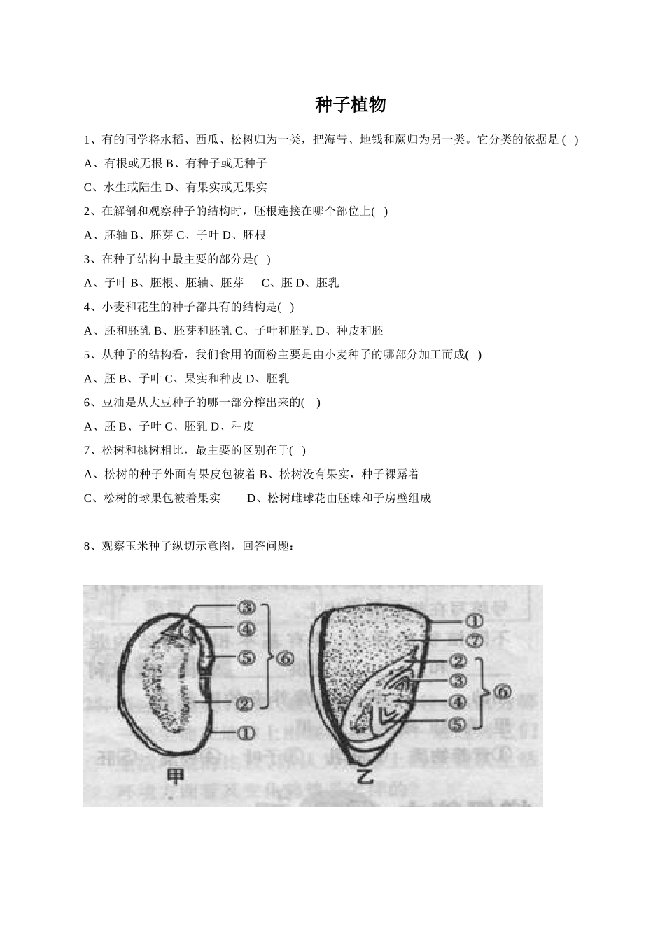 《种子植物》习题4 无答案.doc_第1页