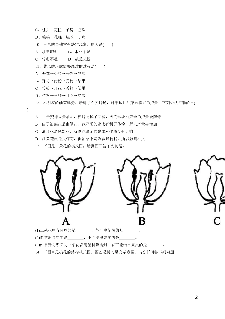 《开花和结果》习题3 含答案.doc_第2页