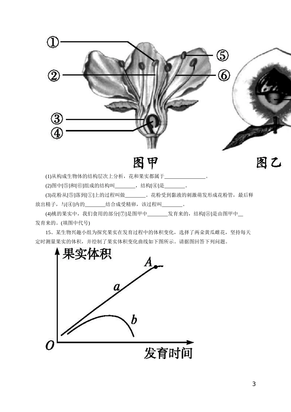 《开花和结果》习题3 含答案.doc_第3页