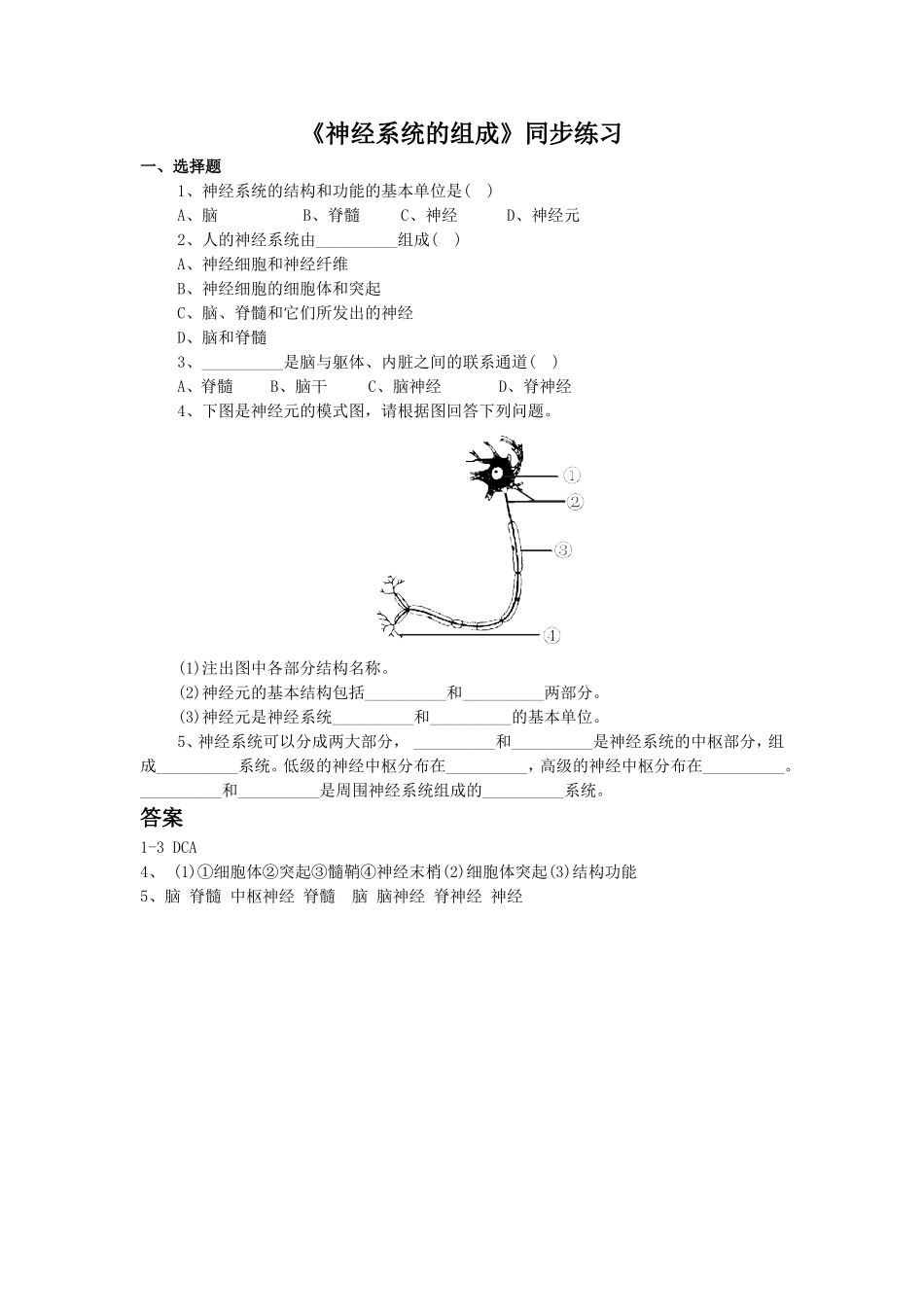 《神经系统的组成》3.doc_第1页