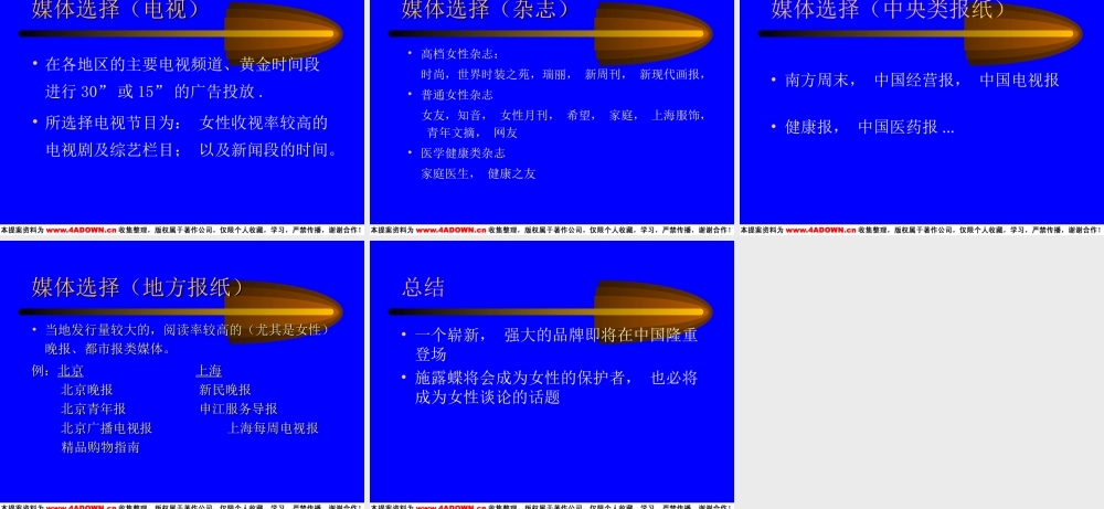 慧聪-施露蝶产品上市广告计划.PPT