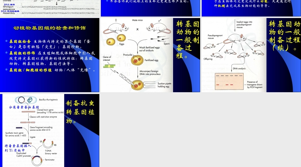 基因基因组和基因技术.ppt