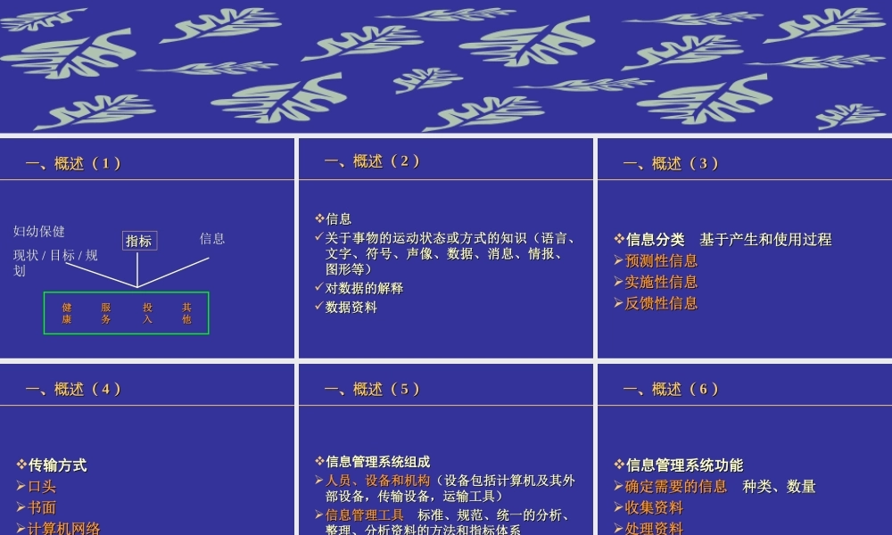 妇幼卫生信息管理.ppt