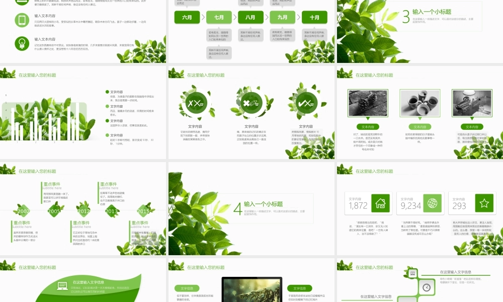 工作汇报(26).pptx