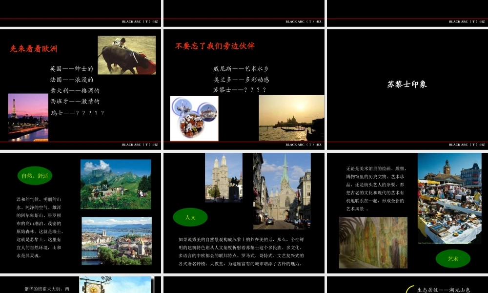 黑弧—杭州苏黎士小镇报告.ppt