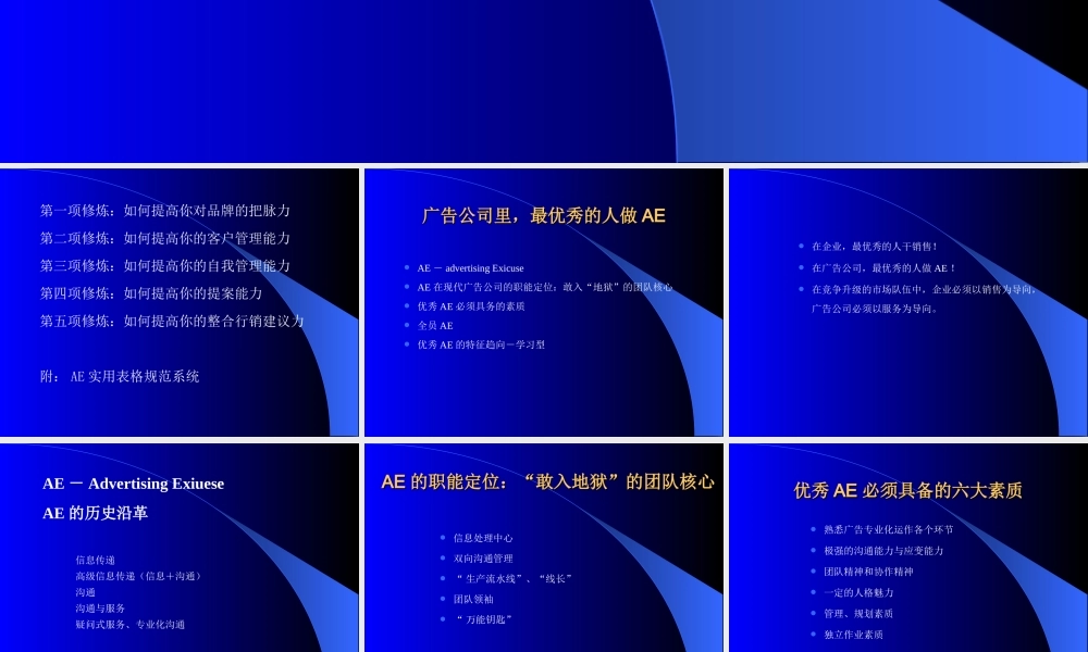 杰出AE之五项修炼.PPT