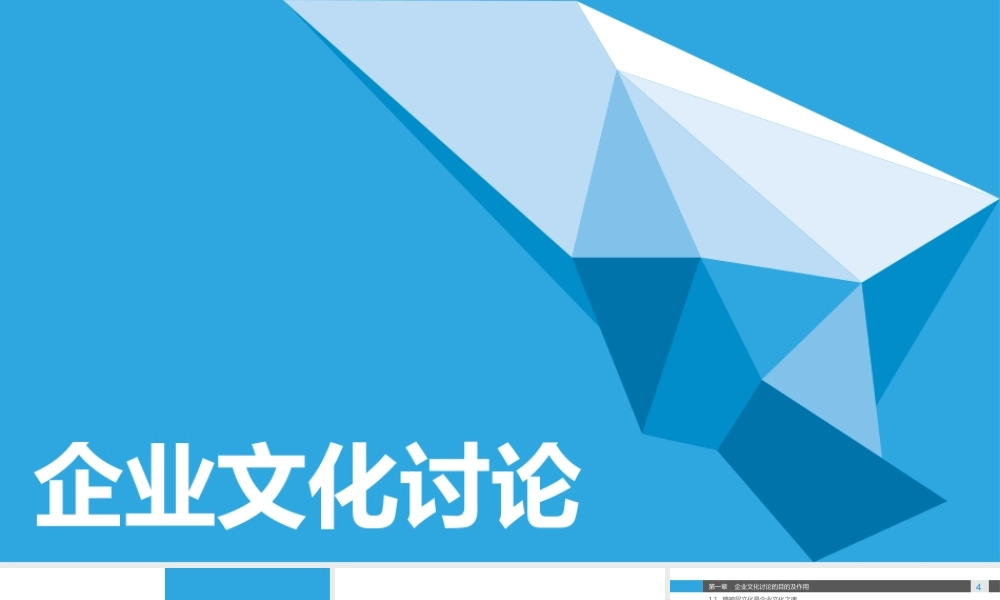 静态 100 亮亮图文.ppt