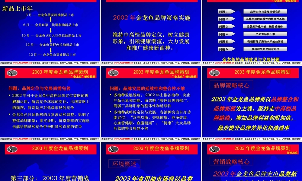 金龙鱼品牌策划及整合营销策略大纲.ppt