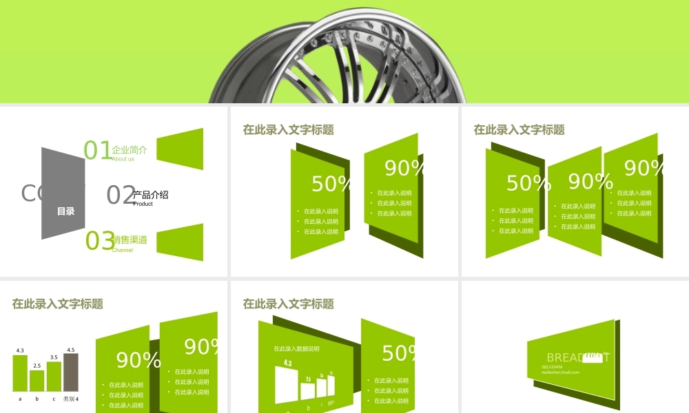 静态 110 亮亮图文.ppt