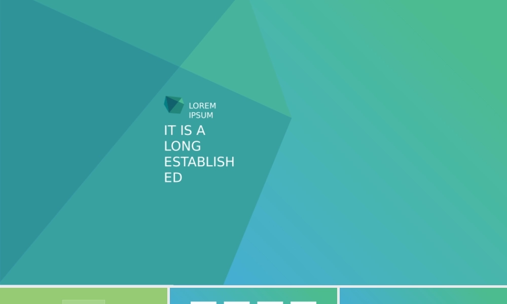 静态 117 亮亮图文.pptx