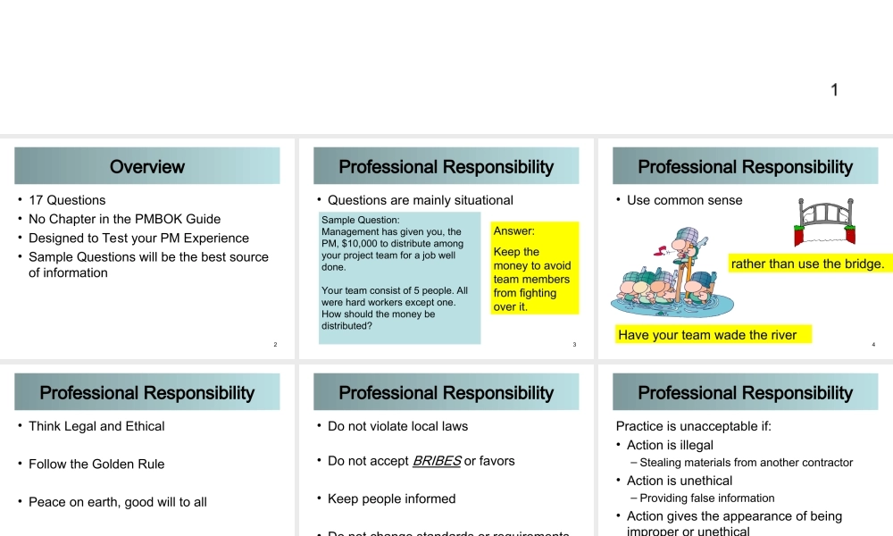 11_0_Professional_Responsibility_100206.ppt