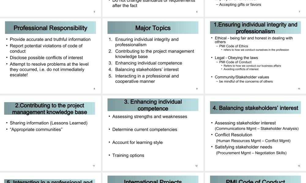 11_0_Professional_Responsibility_100206.ppt