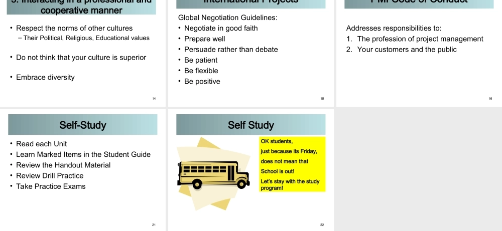 11_0_Professional_Responsibility_100206.ppt