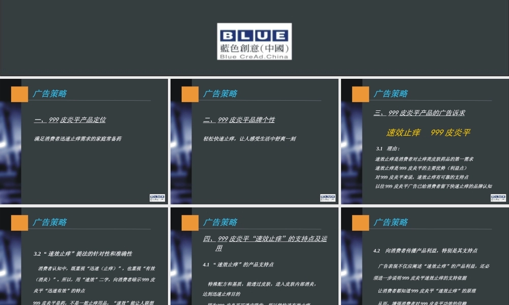 蓝创提案标准模本之三（广告策略）.ppt