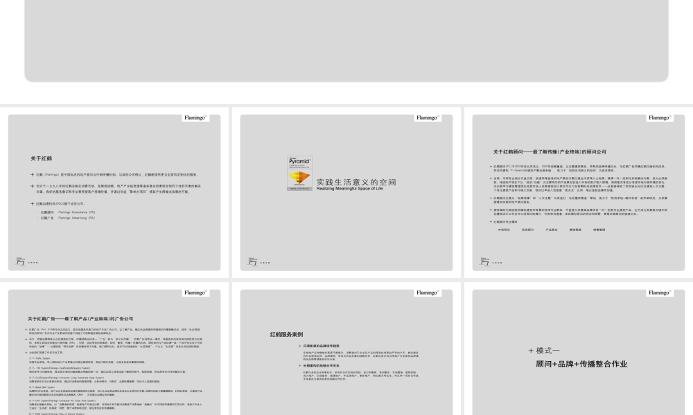 红鹤沟通简介07版(PPT演示版)0.ppt