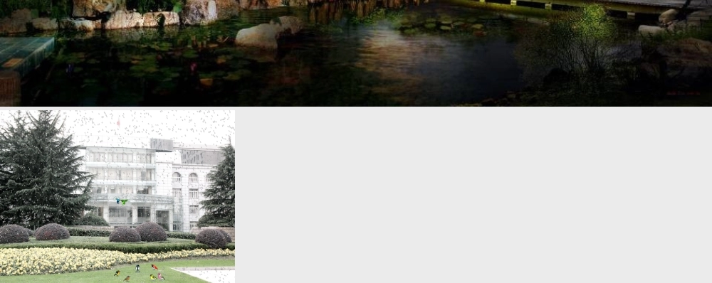 2013圣诞节新年精美ppt模板动画.ppt