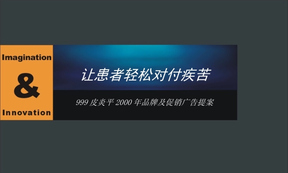 蓝创提案标准模本之一（公司简介）.ppt