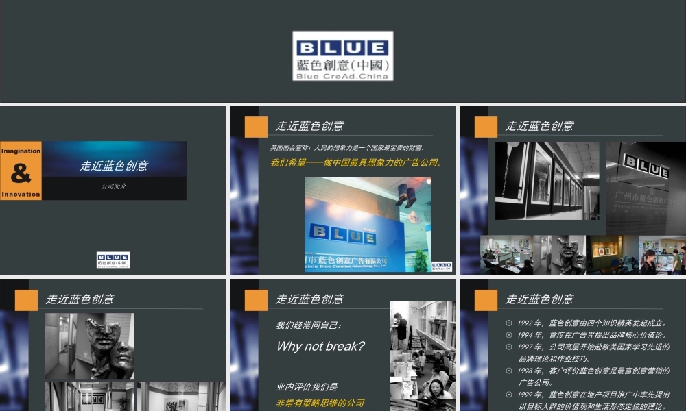 蓝创提案标准模本之一（公司简介）.ppt