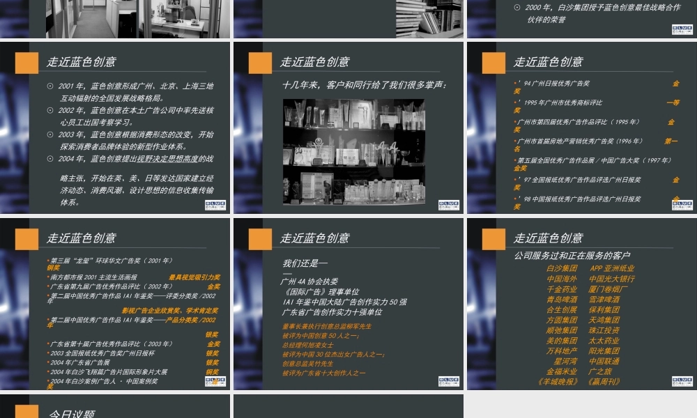 蓝创提案标准模本之一（公司简介）.ppt