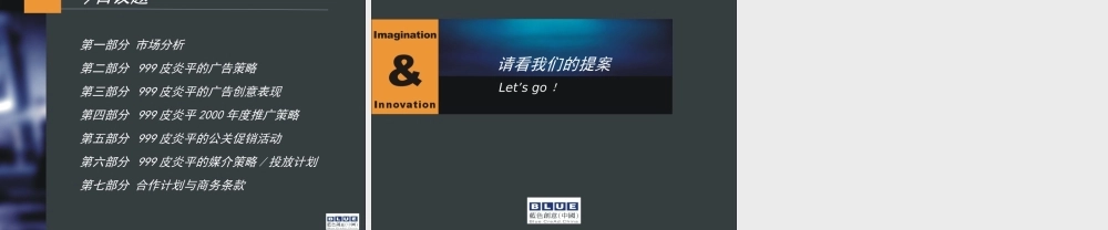 蓝创提案标准模本之一（公司简介）.ppt