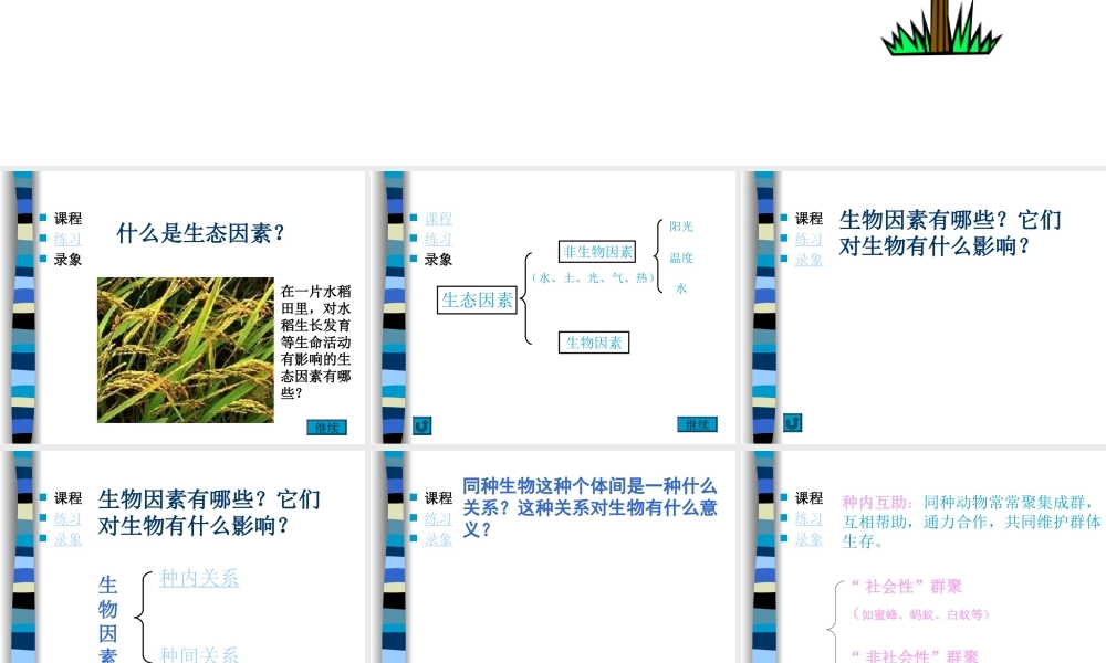 环境对生物的影响.ppt