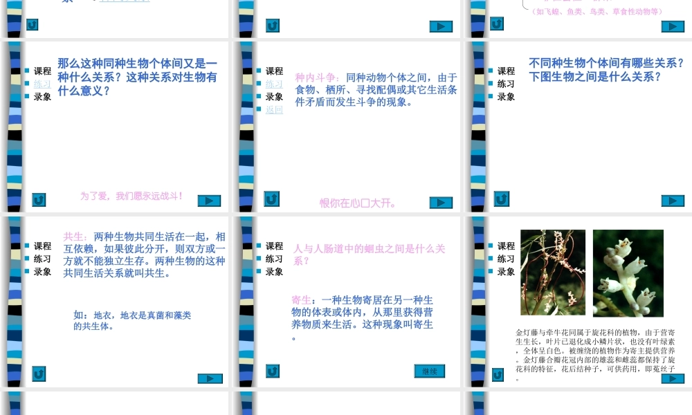 环境对生物的影响.ppt