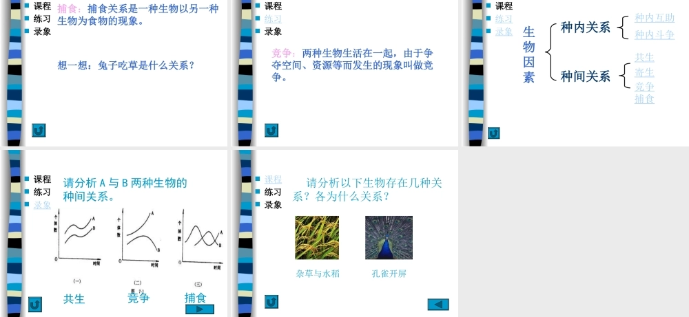 环境对生物的影响.ppt