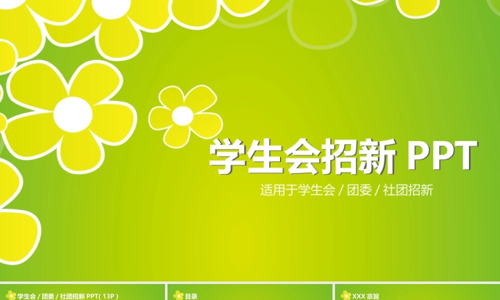 亮亮图文静态模板(新) (21).ppt