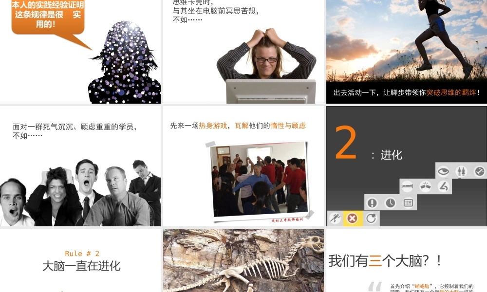 brain rules读书笔记.pptx