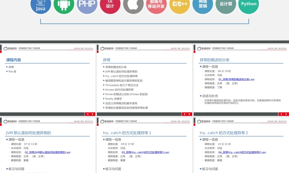 （019-异常、IO流(File类)）.pptx