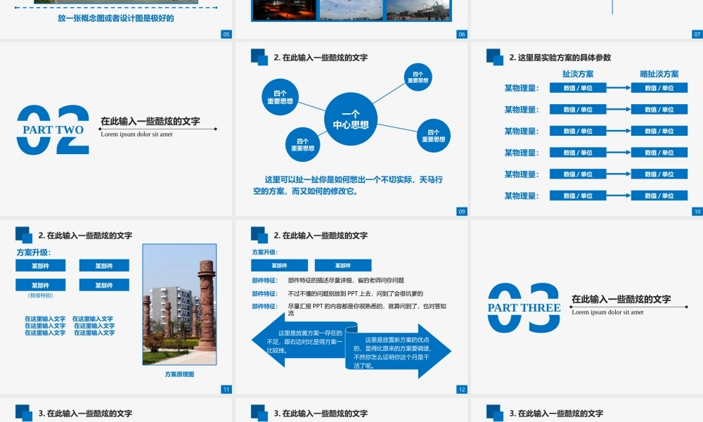 亮亮图文答辩模板 (11).pptx