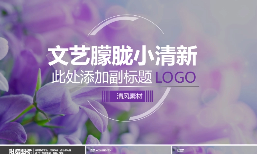 亮亮图文静态模板(新) (14).ppt