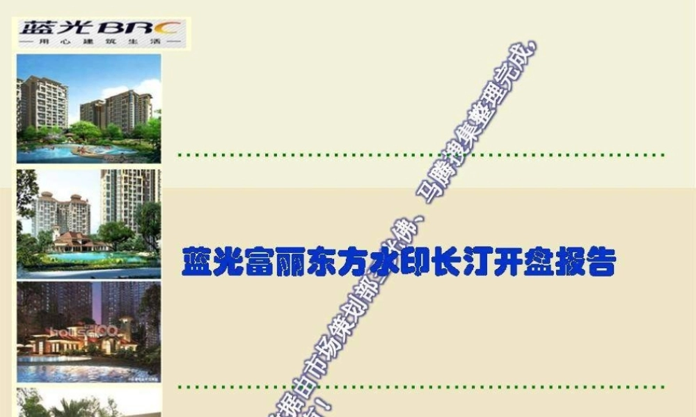 蓝光成都富丽东方水印长汀开盘报告.ppt