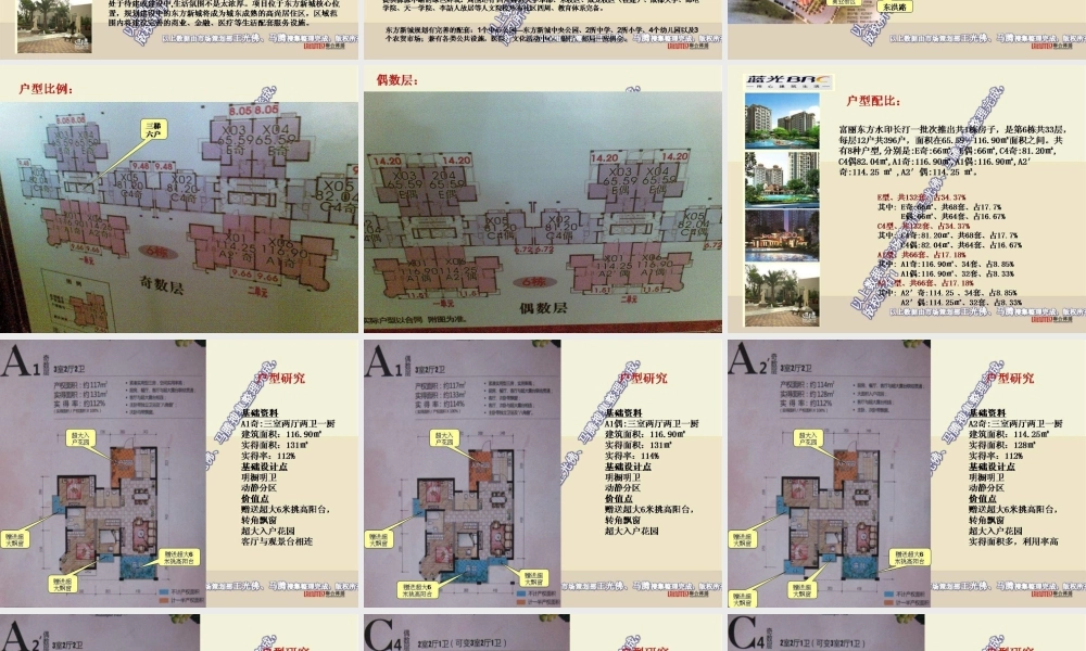 蓝光成都富丽东方水印长汀开盘报告.ppt