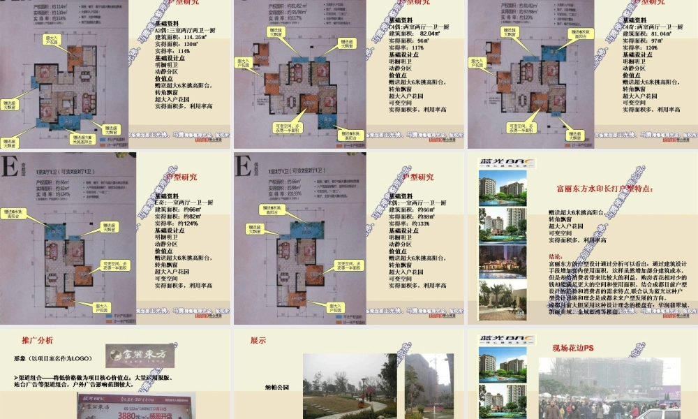 蓝光成都富丽东方水印长汀开盘报告.ppt