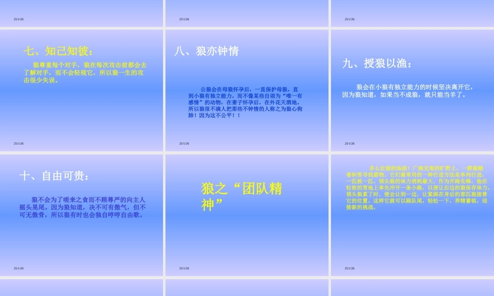 狼的十大处世哲学.ppt