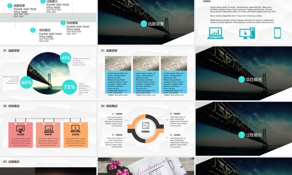 亮亮图文论文答辩79.pptx