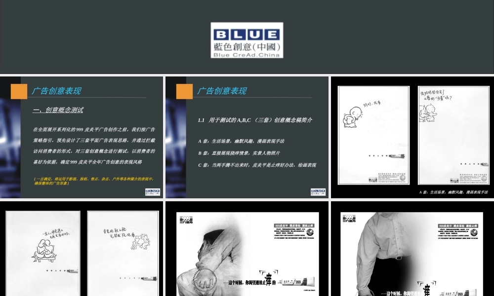 蓝创提案标准模本之四（广告创意表现）.ppt