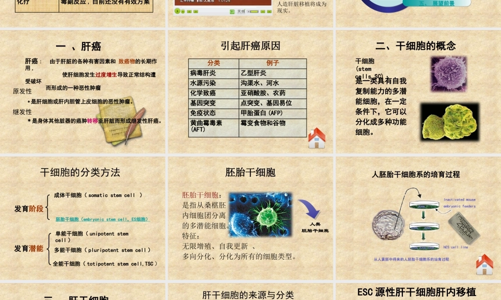 亮亮图文答辩模板 (10).pptx