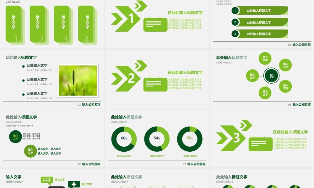 亮亮图文-工作模板 (26).ppt