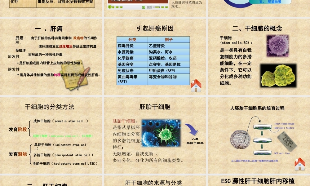 亮亮图文论文答辩41.ppt