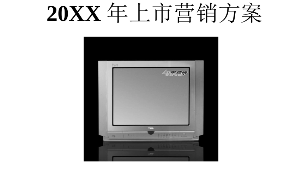 TCL王牌单独听音响电视上市营销方案.ppt