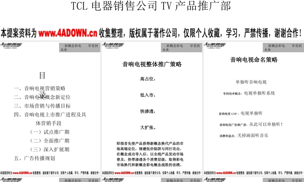 TCL王牌单独听音响电视上市营销方案.ppt
