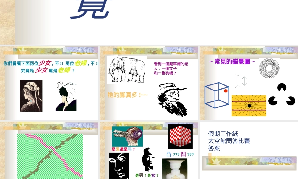 综合科学错觉.ppt