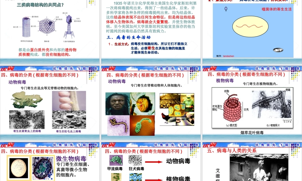 1.第一节尝试对生物进行分类.ppt