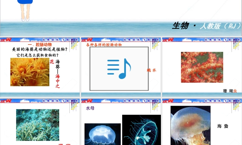1.第一节腔肠动物和扁形动物.ppt