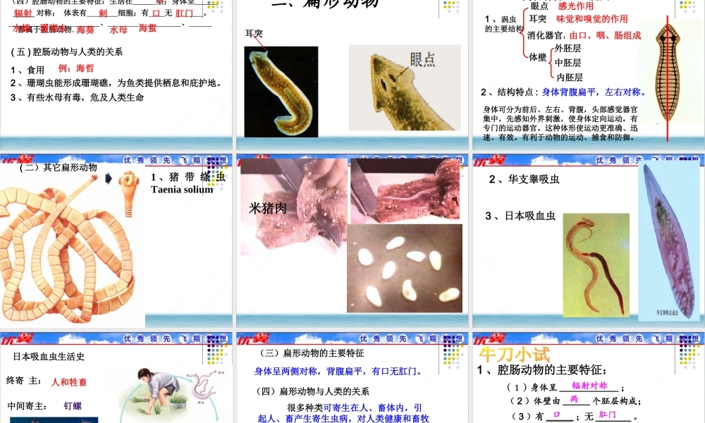 1.第一节腔肠动物和扁形动物.ppt